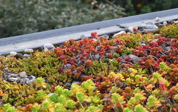 the cost of Comp green roof installation