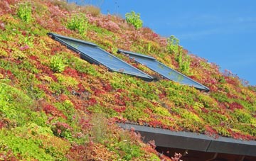 Comp living roof systems