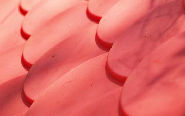 Comp plastic roof costs